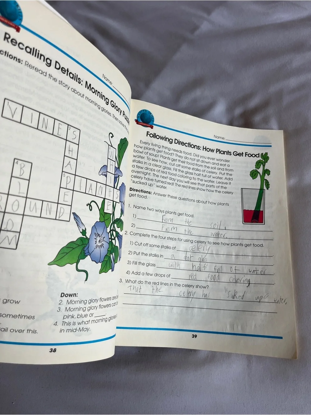 Master Skills Reading Comprehension Grade 3 Workbook ISBN 156189043X